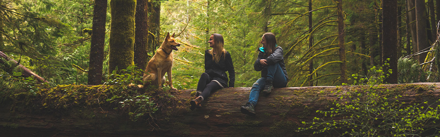 People with a dog sitting on a tree trunk in Vancouver
