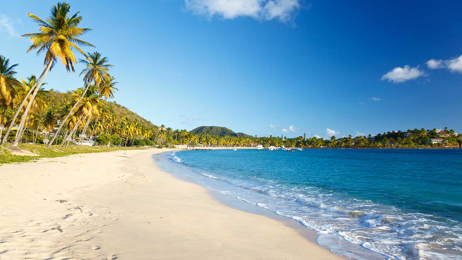 Flights from Whitehorse to Antigua