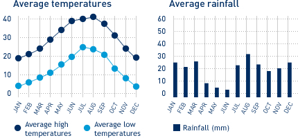 Phoenix Annual Weather Chart