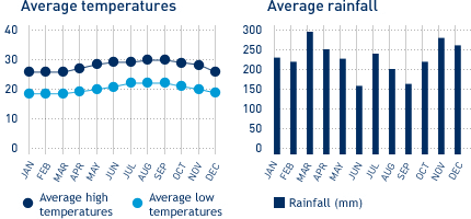 Honolulu Airport Charts