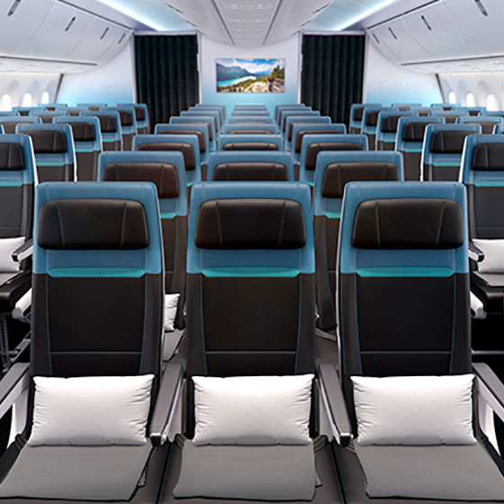 787 Economy cabin seats