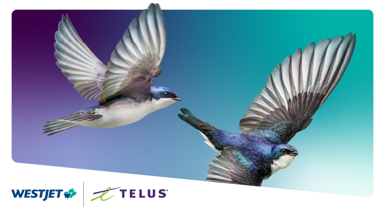 Premium guest working