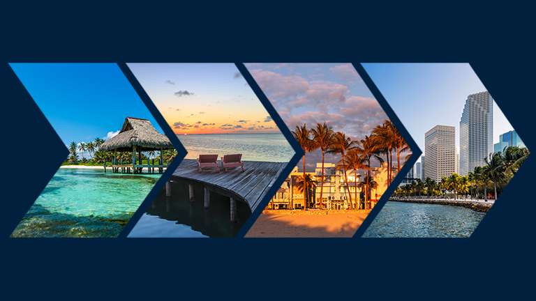 Various images of the beach and palm trees