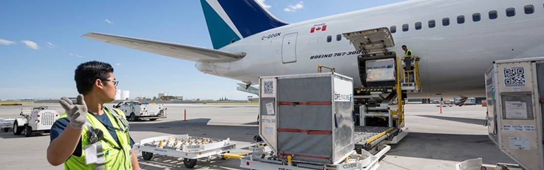 Plane loading cargo