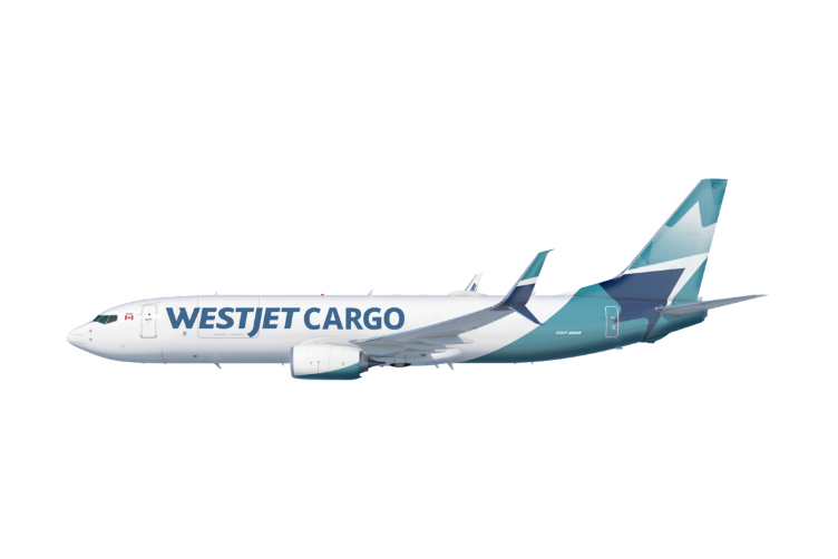 Illustration of aircraft livery