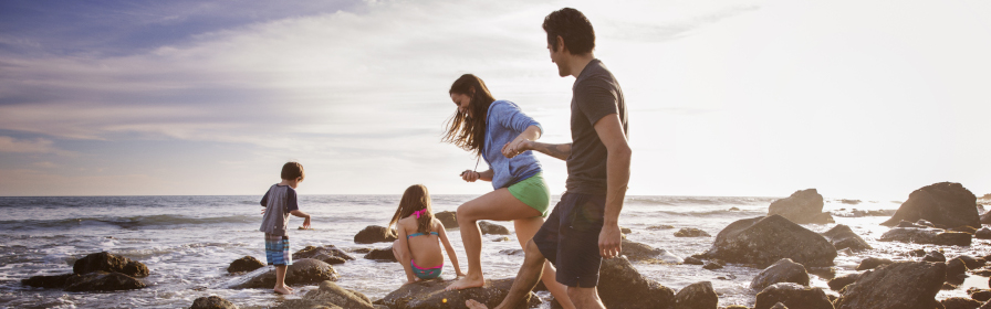 Family climbing on beach rocks
