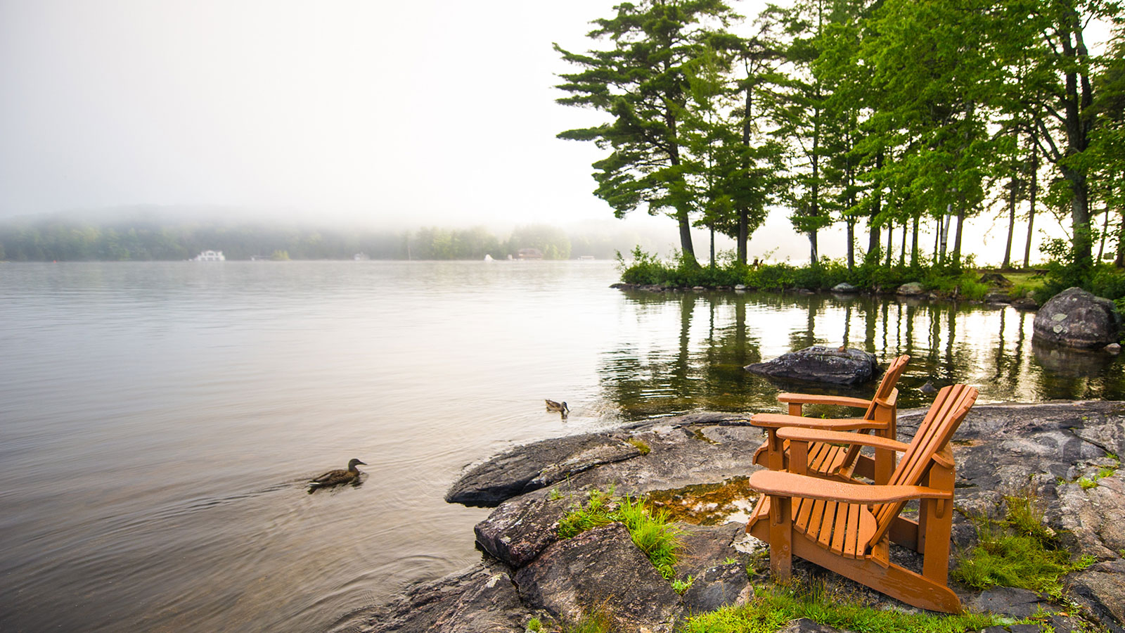 Muskoka chairs alongside a lake