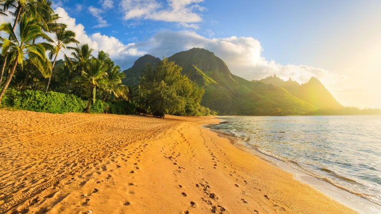 Plage de sable dorée à Hawaii