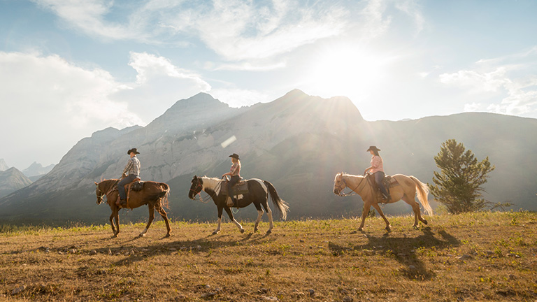 Three people lead horses through mountains Alberta