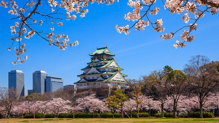 An afternoon view of a Pagoda surrounded by cherry blossom trees.