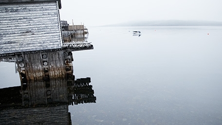 gander-newfoundland_misty-lake