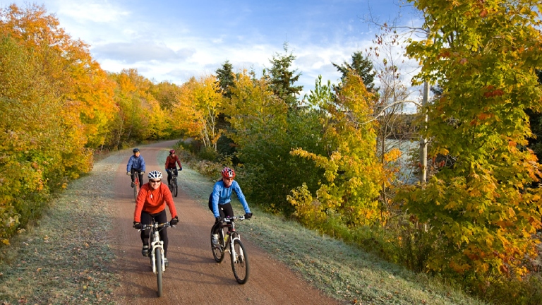 Group riding bikes amongst autumn trees
