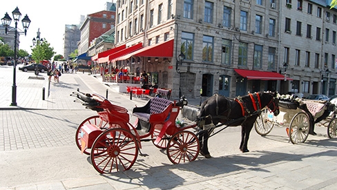 montreal-quebec_horse-carriage