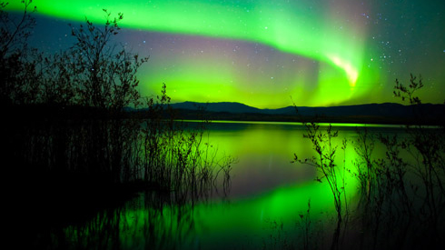 Green Northern Lights over lake in Yukon
