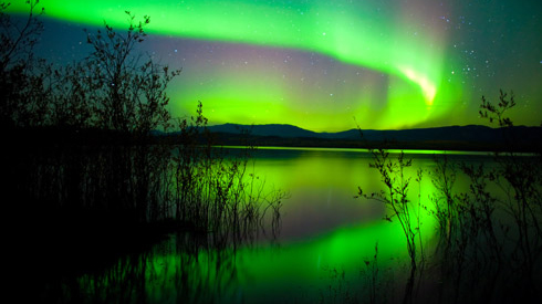 Aurores boréales vertes au dessus d'un lac au Yukon