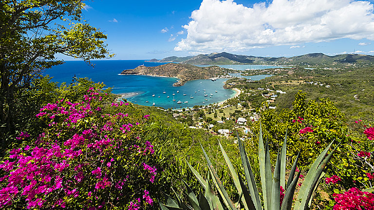 Lush tropical coastline view