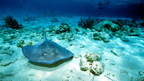 Grand Cayman, Cayman Islands