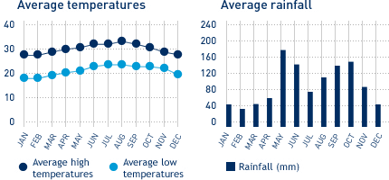Average monthly temperature and average monthly rainfall diagrams for Holguin