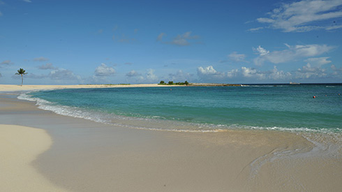 Shoreline of Cove Beach in Nassau