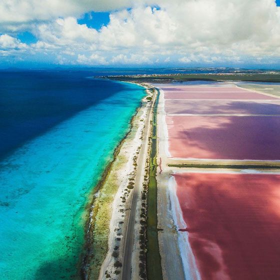 Bonaire aerial shoreline and pink salt ponds
