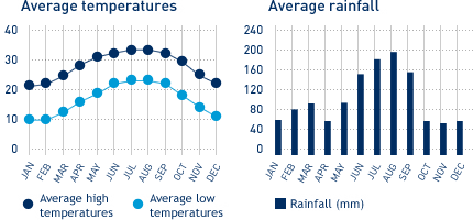Average monthly temperature and average monthly rainfall diagrams for Tampa