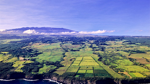 Aerial view of landscape, Kona, Hawaii