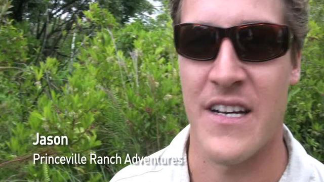 Princeville Ranch Adventures, Princeville, Kauai, Hawaii