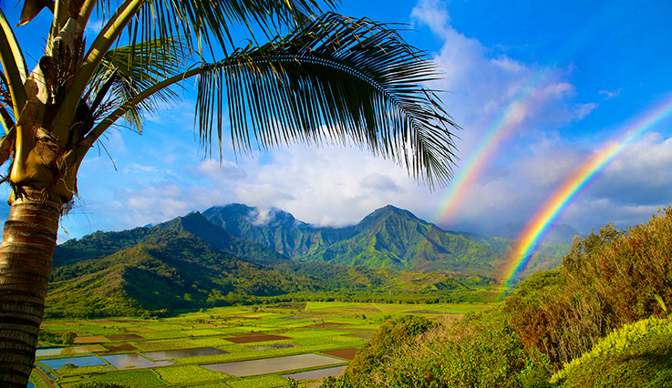 Hanalei Valley and Emerald Mountains, Kauai, Hawaii