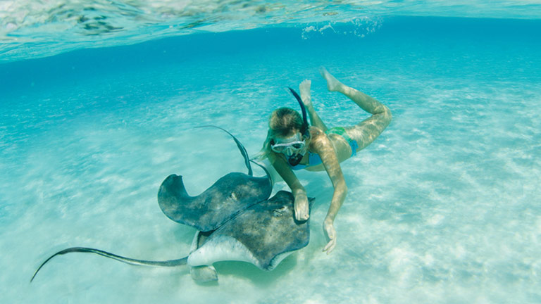 Person scuba diving with stingrays