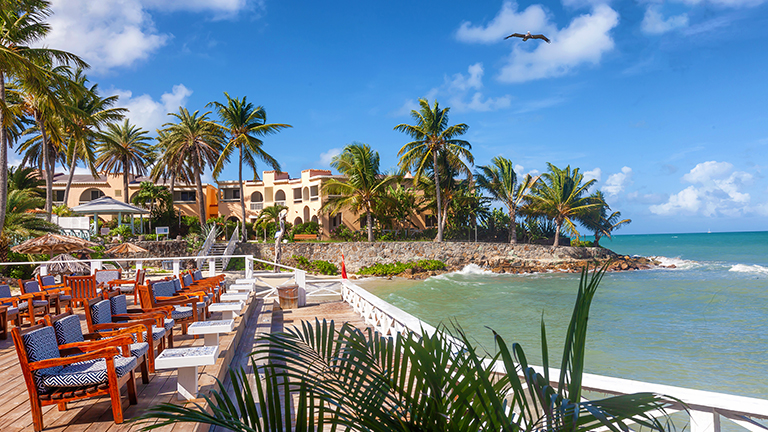 Restaurant and Dining 