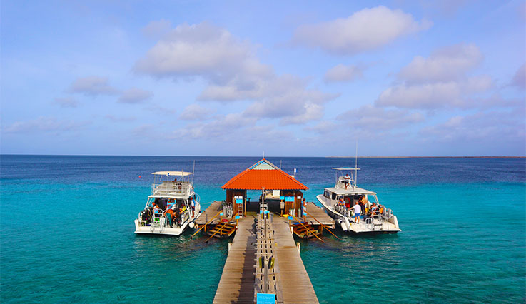 bondiv-boasts-on-dive-dock