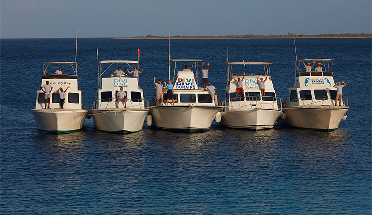 bondiv-dive-boats.