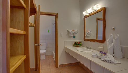 Standard Room bathroom