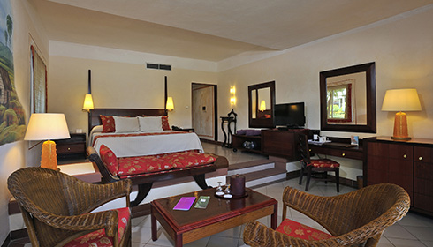 Suite junior paradisus