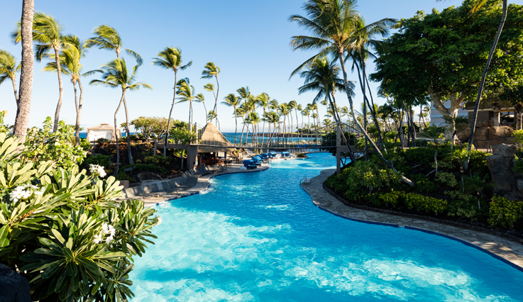 Pont de corde de piscine Kona