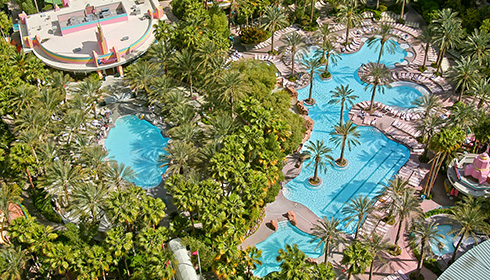 Pool Aerial View