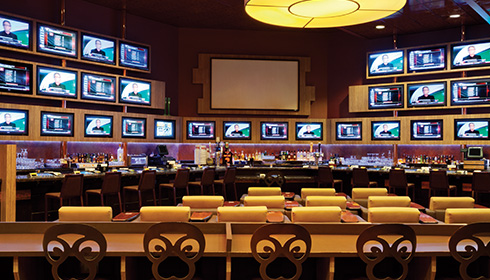 Bar Race and Sports Book