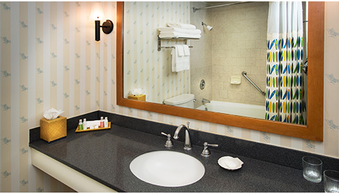Salle de bain d'une chambre Standard View