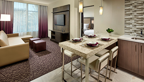 Deluxe 1 Bedroom Suite - living area