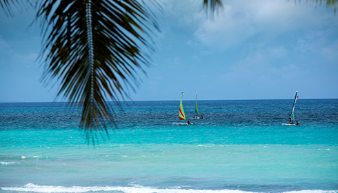 Beach windsurfer