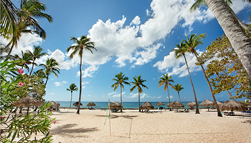 Beach with volleyball net