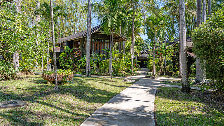 Nature and Treehouse Inspired Accommodations 