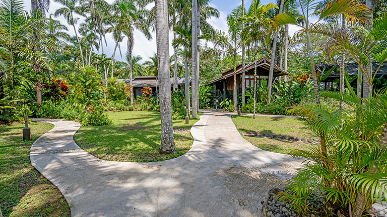 Nature and Treehouse Inspired Accommodations