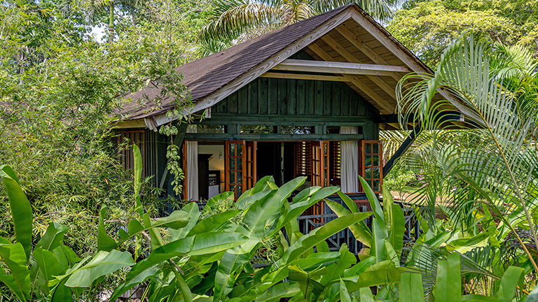 Nature and Treehouse Inspired Accommodations