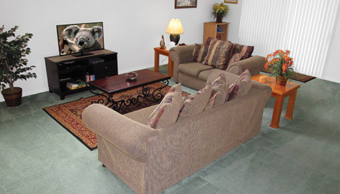 Bronze living room