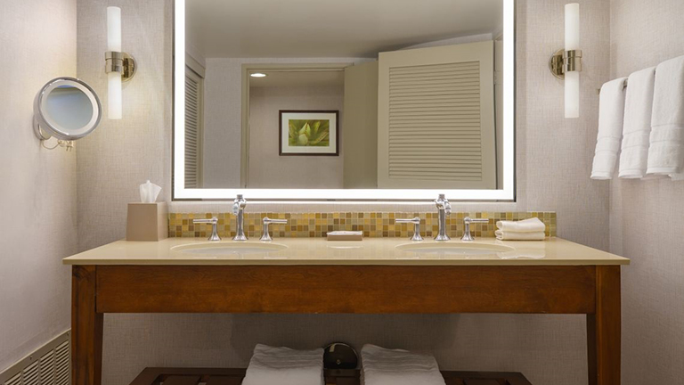 Traditional Guest Room - Bathroom