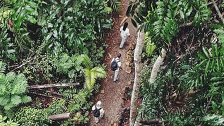 Encompassing 55,000 acres on the shores of the Panama Canal, Soberanía National Park is just footsteps from Gamboa Rainforest Reserve, offering eco-adventurers a magnificent range of activities and natural attractions to explore. 