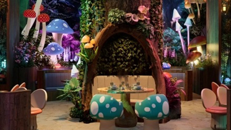 Wonderwoods Kids Dining Experience