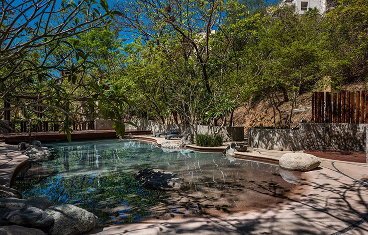 Piscine naturelle