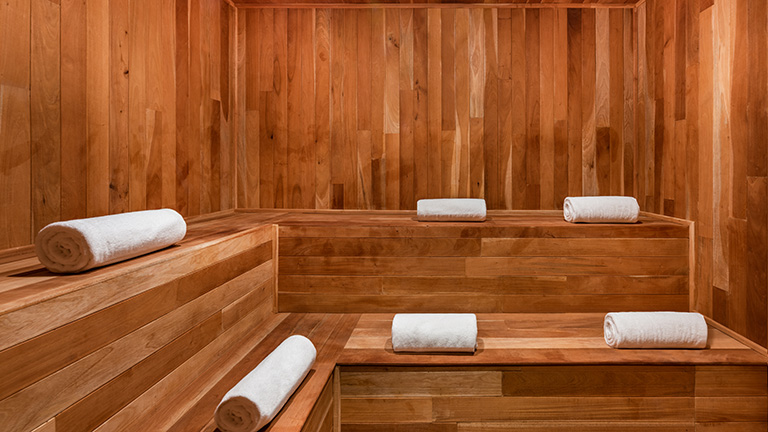 Tzicuri Spa Steam Room